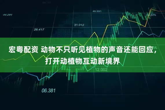 宏粤配资 动物不只听见植物的声音还能回应，打开动植物互动新境界